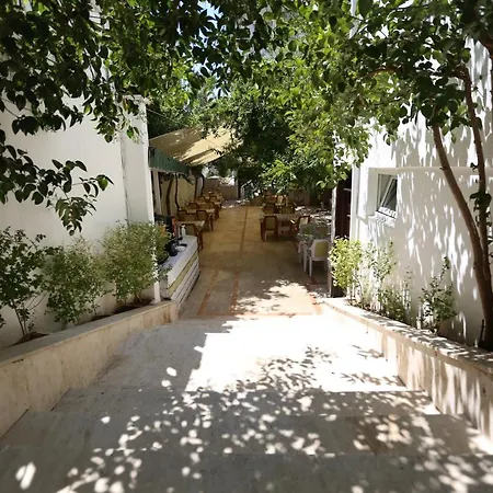 Otel Paradise 3*