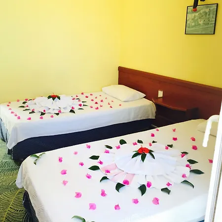 Paradise 3*